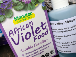 Does African Violet Food Expire? Shelf Life and Tips